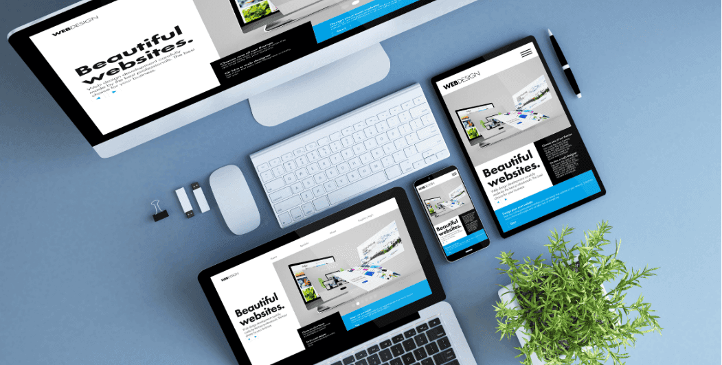 Vexoratech Website Development Service